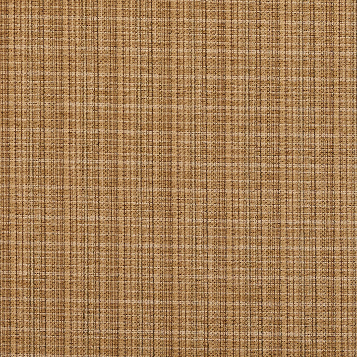 6956 Straw by Charlotte Designer Fabric Ring Book Page #24A 100% Woven Polyester Asia Exceeds 70,000 Wyzenbeek Rubs (Heavy Duty) Horizontal: 2" x Vertical: 2" 54 Inches - Swanky Fabrics -