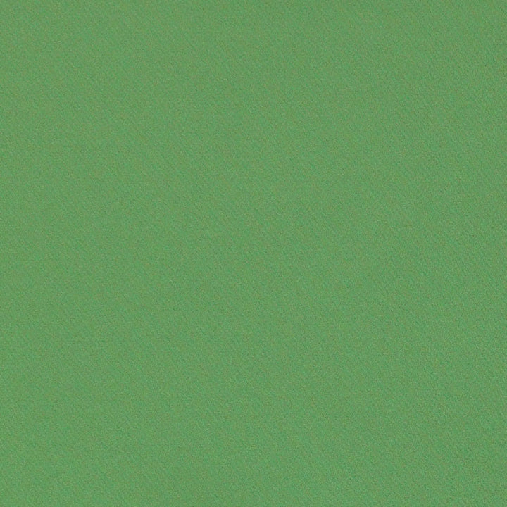 Blake Polished Cotton Grass 69593 by Schumacher Designer Fabric PERFECT BASICS: BLAKE COTTON 100% INDIA MARTINDALE 30,000 </p><p>Repeat: Horizontal: and Vertical: 55.5 - Swanky Fabrics -