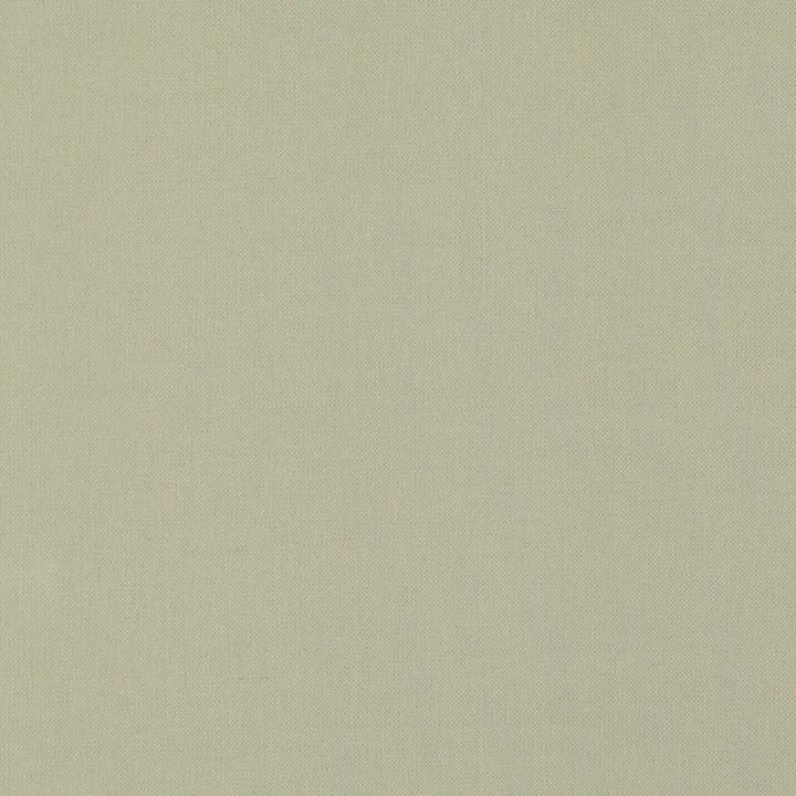 Langham Sesame 69620 by Schumacher Designer Fabric Perfect-Basics-Stonewashed-Union 60% Cotton, 40% Linen Martindale 60,000 Horizontal: - and Vertical: - 55.5 - Swanky Fabrics -