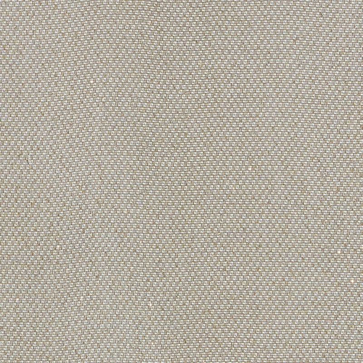 Giorgio Sheer Platinum 69680 by Schumacher Designer Fabric Understated-Luxury 34% Cotton, 30% Polyester, 23% Linen, 13% Viscose - Horizontal: - and Vertical: - 56 - Swanky Fabrics -