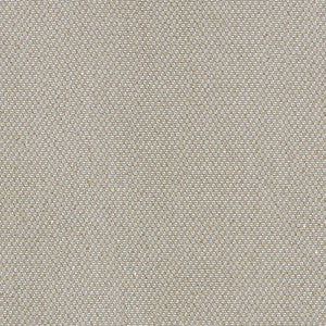 Giorgio Sheer Platinum 69680 by Schumacher Designer Fabric