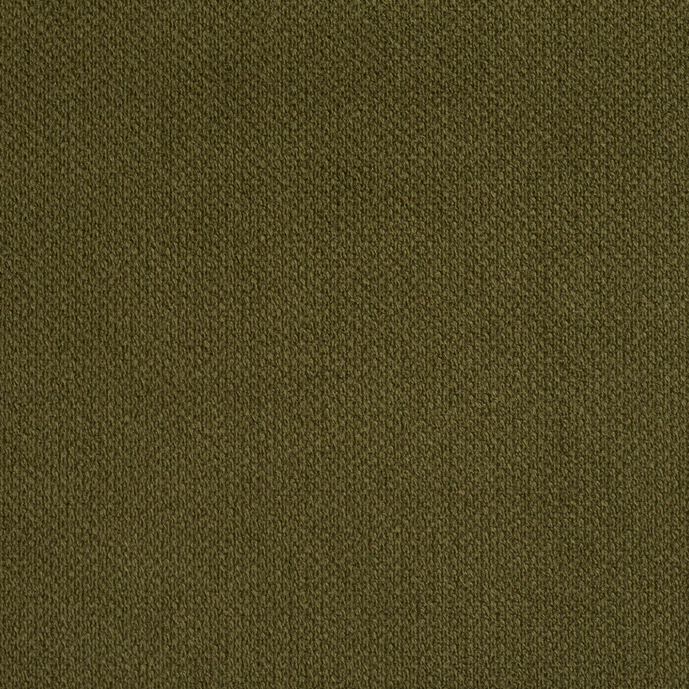 6972 Sage by Charlotte Designer Fabric Ring Book Page #25A 100% Woven Polyester Asia Exceeds 140,000 Wyzenbeek Rubs (Heavy Duty) </p><p>Repeat: 54 Inches - Swanky Fabrics -