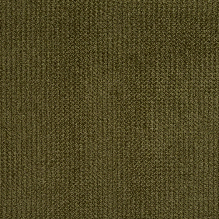 6972 Sage by Charlotte Designer Fabric Ring Book Page #25A 100% Woven Polyester Asia Exceeds 140,000 Wyzenbeek Rubs (Heavy Duty) </p><p>Repeat: 54 Inches - Swanky Fabrics -