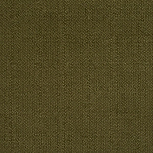 6972 Sage by Charlotte Designer Fabric