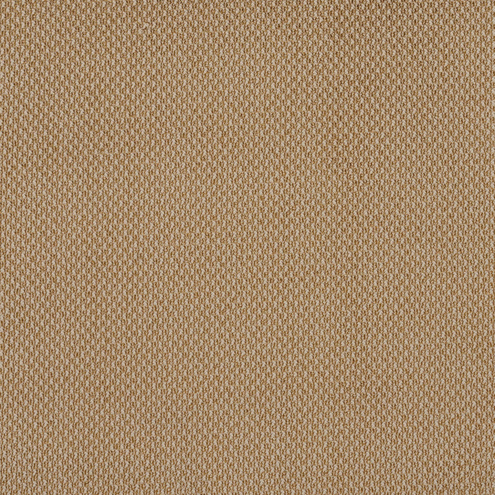6973 Fawn by Charlotte Designer Fabric Ring Book Page #25A 100% Woven Polyester Asia Exceeds 140,000 Wyzenbeek Rubs (Heavy Duty) No Repeat 54 Inches - Swanky Fabrics -