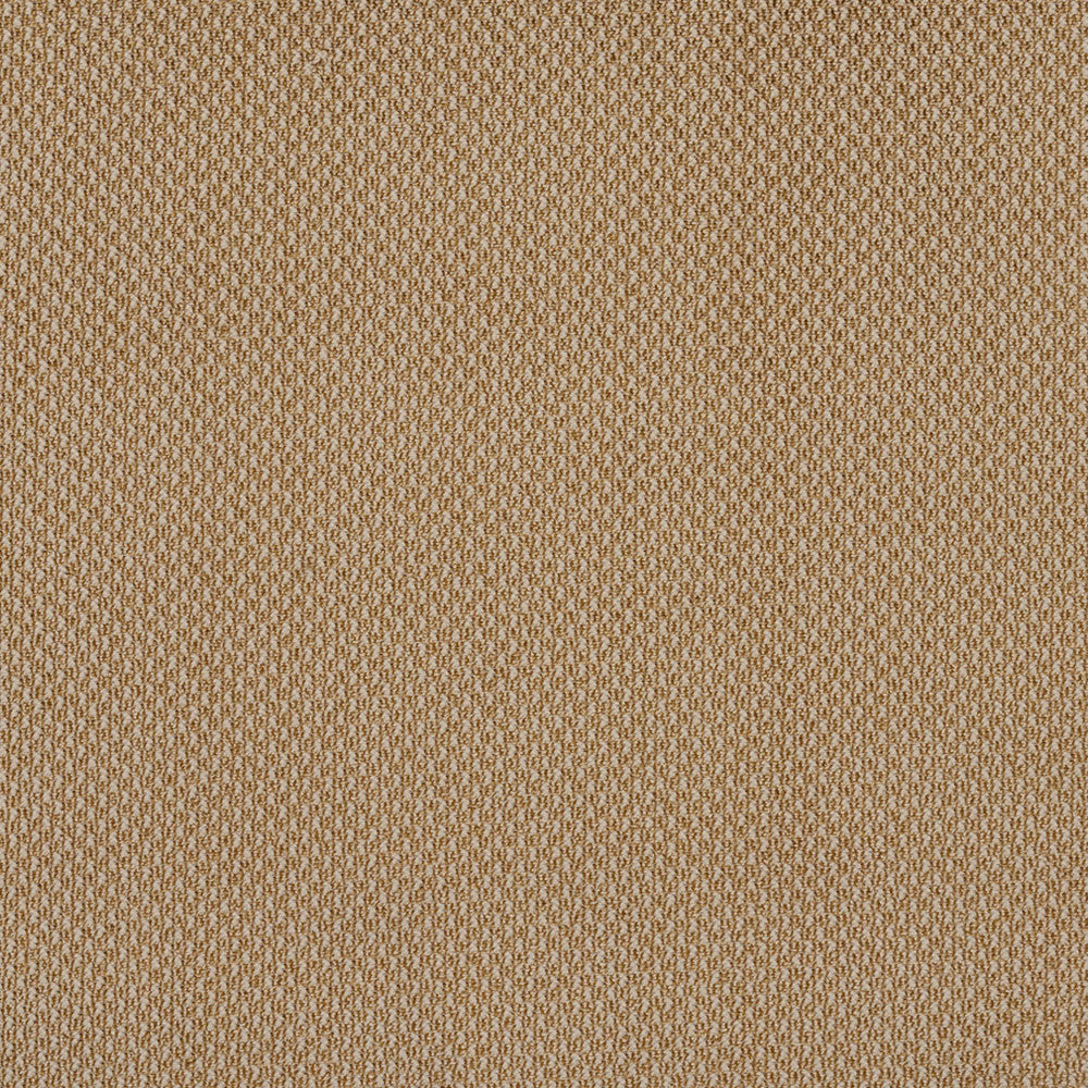 6973 Fawn by Charlotte Designer Fabric Ring Book Page #25A 100% Woven Polyester Asia Exceeds 140,000 Wyzenbeek Rubs (Heavy Duty) </p><p>Repeat: 54 Inches - Swanky Fabrics -