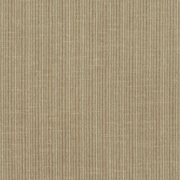 Antique Strie Velvet Sparrow 69741 by Schumacher Designer Fabric Perfect-Basics-Antique-Strie-Velvet 65% Cotton, 35% Viscose Wyzenbeek 100,000 Horizontal: - and Vertical: - 54 - Swanky Fabrics -