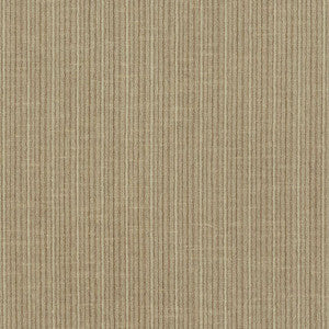 Antique Strie Velvet Sparrow 69741 by Schumacher Designer Fabric