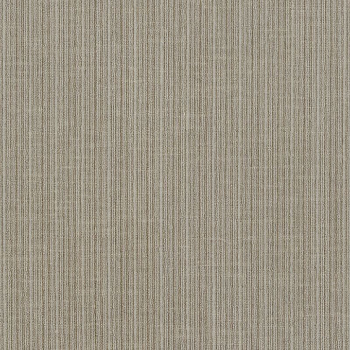 Antique Strie Velvet Driftwood 69742 by Schumacher Designer Fabric Perfect-Basics-Antique-Strie-Velvet 65% Cotton, 35% Viscose Wyzenbeek 100,000 Horizontal: - and Vertical: - 54 - Swanky Fabrics -