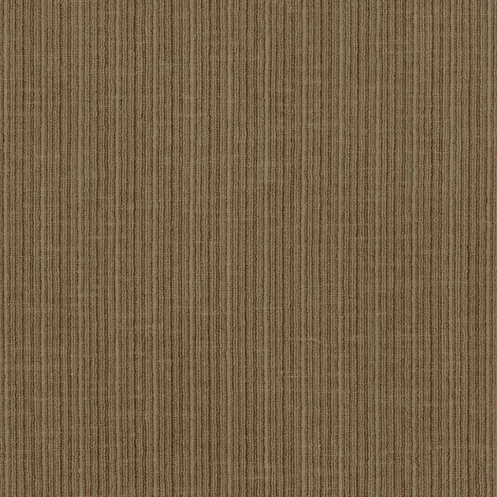Antique Strie Velvet Antelope 69762 by Schumacher Designer Fabric Perfect-Basics-Antique-Strie-Velvet 65% Cotton, 35% Viscose Wyzenbeek 100,000 Horizontal: - and Vertical: - 54 - Swanky Fabrics -