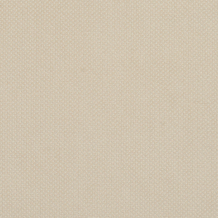 6977 Ivory by Charlotte Designer Fabric Ring Book Page #25A 100% Woven Polyester Asia Exceeds 140,000 Wyzenbeek Rubs (Heavy Duty) No Repeat 54 Inches - Swanky Fabrics -