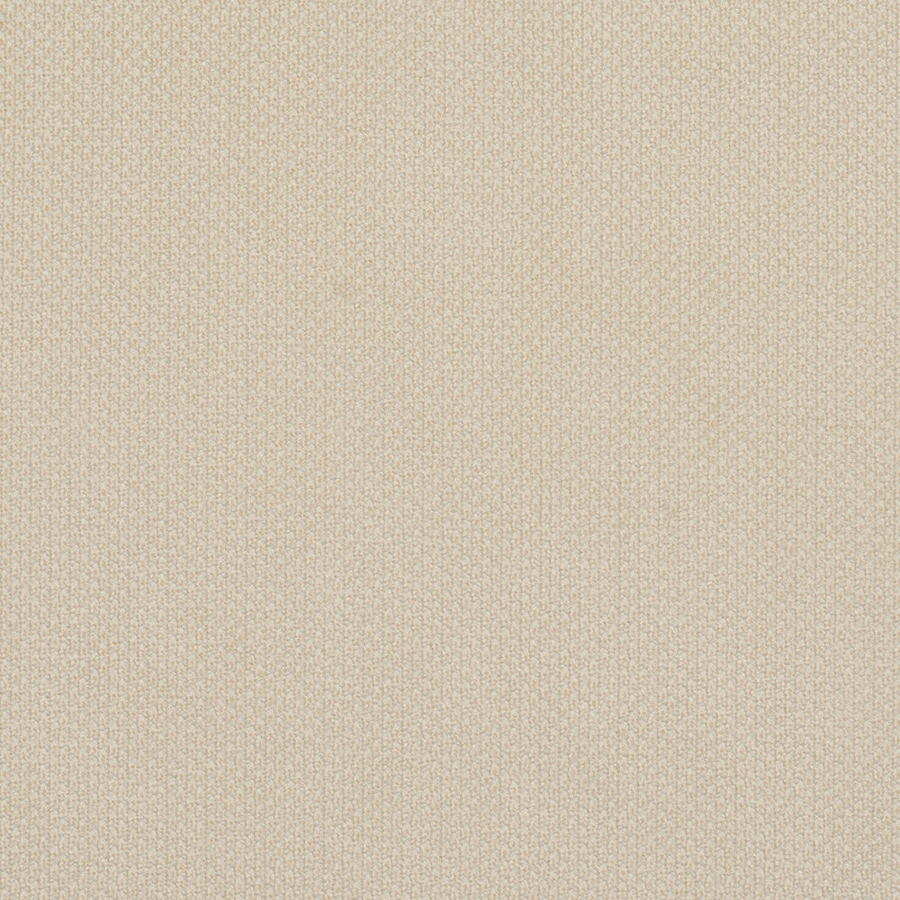 6977 Ivory by Charlotte Designer Fabric Ring Book Page #25A 100% Woven Polyester Asia Exceeds 140,000 Wyzenbeek Rubs (Heavy Duty) </p><p>Repeat: 54 Inches - Swanky Fabrics -