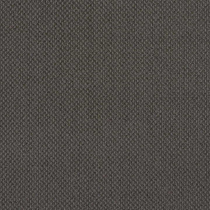 6979 Slate by Charlotte Designer Fabric Ring Book Page #25A 100% Woven Polyester Asia Exceeds 140,000 Wyzenbeek Rubs (Heavy Duty) No Repeat 54 Inches - Swanky Fabrics -