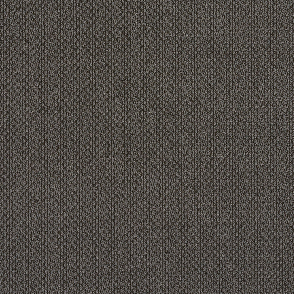 6979 Slate by Charlotte Designer Fabric Ring Book Page #25A 100% Woven Polyester Asia Exceeds 140,000 Wyzenbeek Rubs (Heavy Duty) </p><p>Repeat: 54 Inches - Swanky Fabrics -