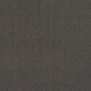 6979 Slate by Charlotte Designer Fabric