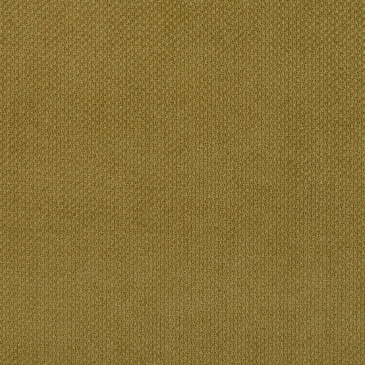 6981 Fern by Charlotte Designer Fabric Ring Book Page #25A 100% Woven Polyester Asia Exceeds 140,000 Wyzenbeek Rubs (Heavy Duty) No Repeat 54 Inches - Swanky Fabrics -