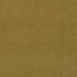 6981 Fern by Charlotte Designer Fabric