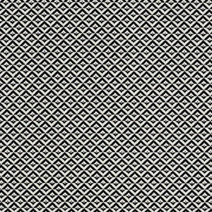 Jamison Black 69845 by Schumacher Designer Fabric