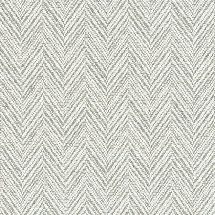 Davis Feather Grey 69881 by Schumacher Designer Fabric Essentials-Small-Scale-Upholstery-Fabrics 64% Cotton, 24% Polyester, 6% Polyamide, 3% Linen Martindale 30,000 Horizontal: 2 7/8 and Vertical: 3.25 56 - Swanky Fabrics -