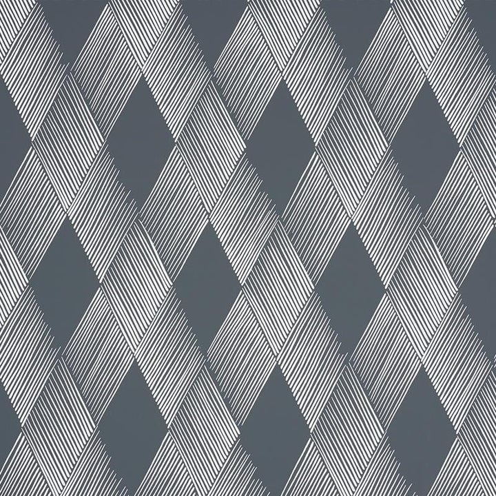 Fetlock Carbon 5007131 by Schumacher Designer Wallpaper Club Cavalier 9.0" - Swanky Fabrics -