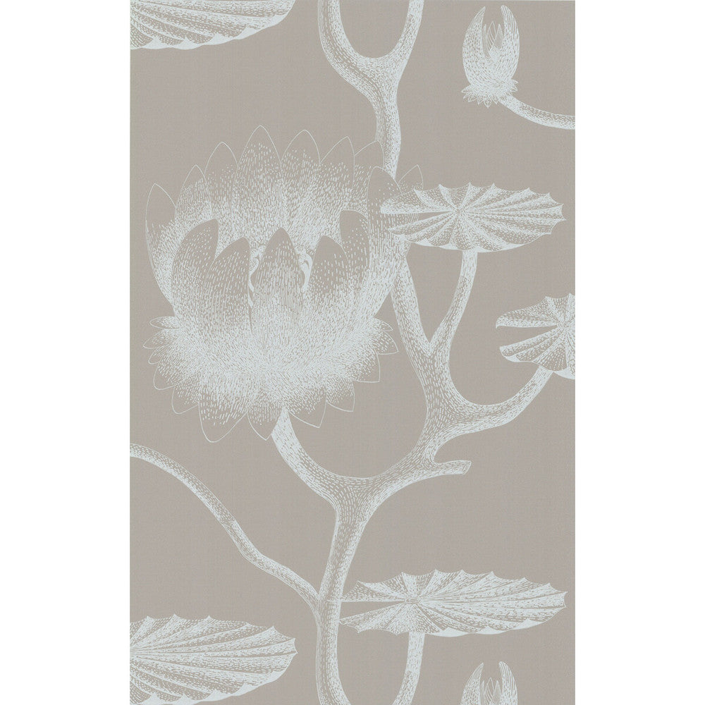 Lily White/Grey by Cole & Son Wallcovering Cole & Son Wallcovering Lily White/GreyWallcovering COLE & SON NEW CONTEMPORARY II PAPER - 100% United Kingdom </p><p>Repeat: H: , V: 30 20.5 - Fabric Carolina -