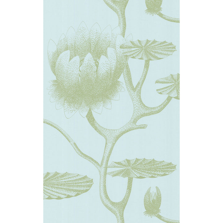 Lily Sage/Pale Blue by Cole & Son Wallcovering Cole & Son Wallcovering Lily Sage/Pale BlueWallcovering COLE & SON NEW CONTEMPORARY II PAPER - 100% United Kingdom </p><p>Repeat: H: , V: 30 20.5 - Fabric Carolina -