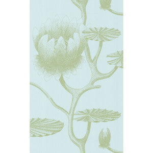 Lily Sage/Pale Blue by Cole & Son Designer Wallcovering