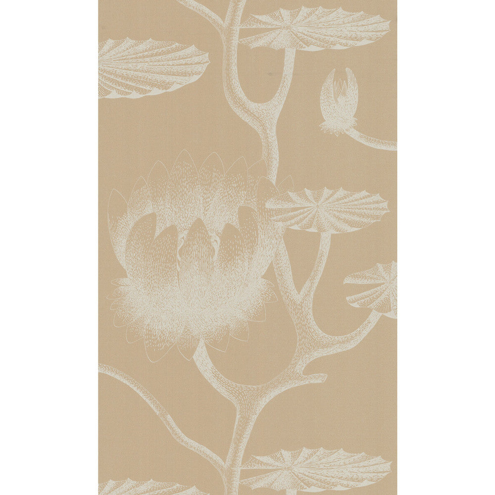 Lily Ivory/Sand by Cole & Son Designer Wallcovering COLE & SON NEW CONTEMPORARY II PAPER - 100% United Kingdom - Horizontal: - and Vertical: - 20.5 - Swanky Fabrics -