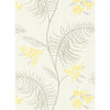 Mimosa White by Cole & Son Designer Wallcovering