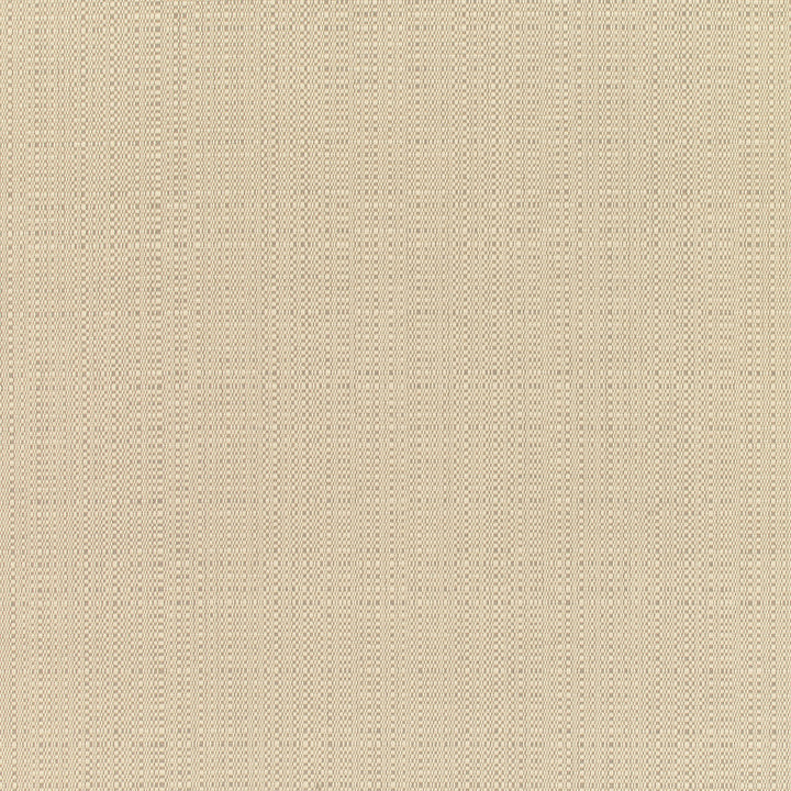 8300 77 Rain Linen Champagne by Sunbrella Designer Fabric Sunbrella Rain 100% Sunbrella® Acrylic USA or Imported 5-Year Horizontal: and Vertical: 60 yd. 54 in. - Swanky Fabrics -