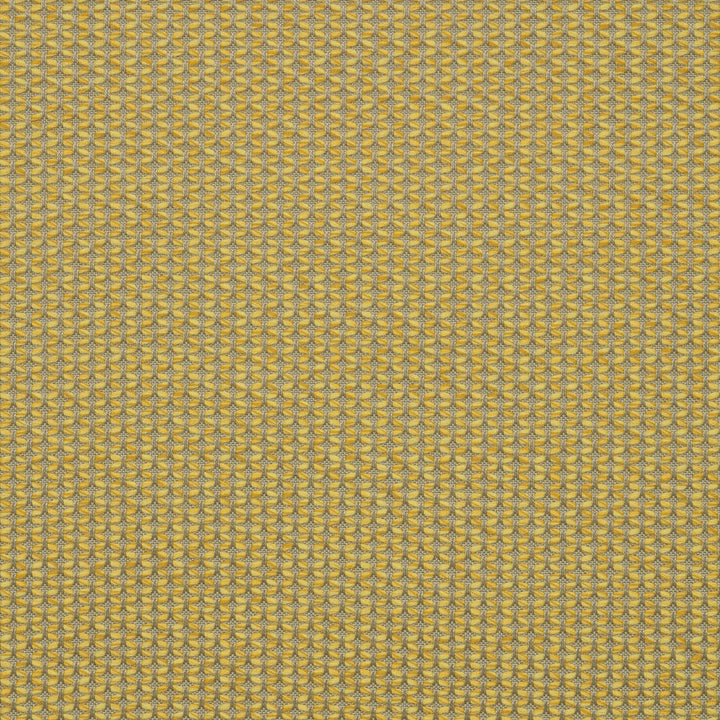 MAJ J338 140 Majestic Citrine by Sunbrella Designer Fabric Sunbrella European Sunbrella® Acrylic, Sunbrella® Polyester USA or Imported 5-Year Horizontal: and Vertical: 55 in. - Swanky Fabrics -