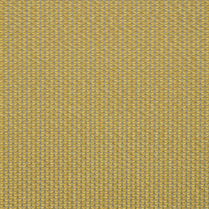 MAJ J338 140 Majestic Citrine by Sunbrella Designer Fabric Sunbrella European SunbrellaÂ® Acrylic, SunbrellaÂ® Polyester USA or Imported 5-Year Horizontal: and Vertical: 55 in. - Swanky Fabrics -