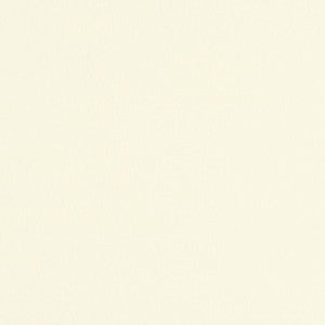 Catarina Linen Cream 70040 by Schumacher Designer Fabric
