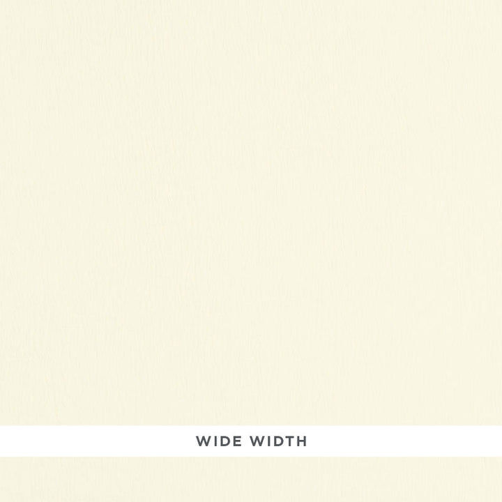 Catarina Linen Cream 70040 by Schumacher Fabric Schumacher Fabric Catarina Linen Cream 70040Fabric LINEN 100% ITALY </p><p>Repeat: H: , V: 112 - Fabric Carolina -