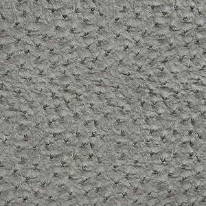 7018 Pewter by Charlotte Designer Fabric