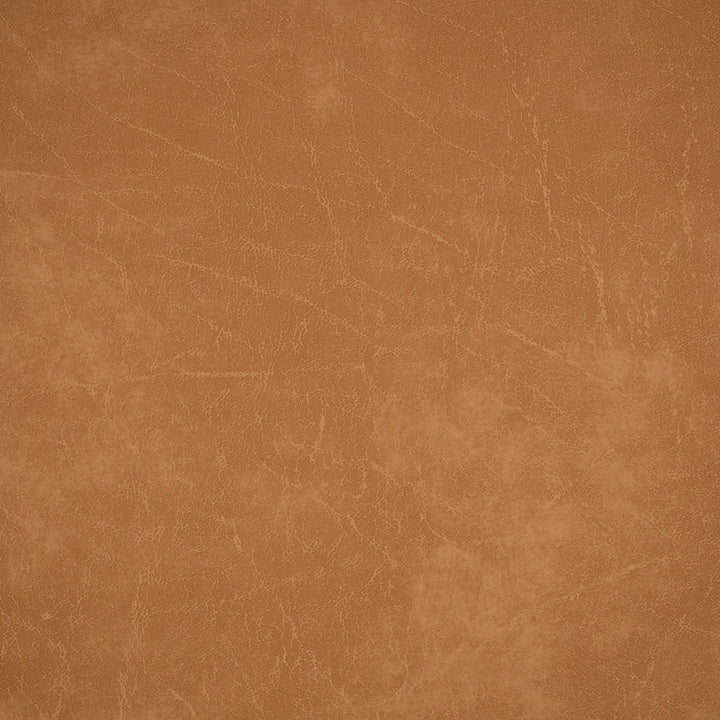 70370 Camel by Greenhouse Designer Fabric Face: 100% Pvc, Back: 100% Polyester Canada 250,000 </p><p>Repeat: None 54" - Swanky Fabrics -
