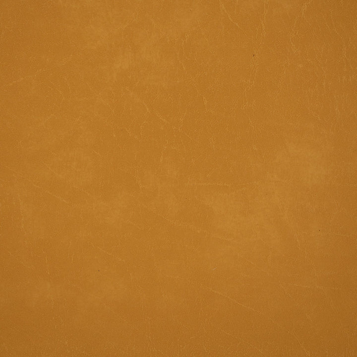 70372 Gold by Greenhouse Designer Fabric Face: 100% Pvc, Back: 100% Polyester Canada 250,000 </p><p>Repeat: None 54" - Swanky Fabrics -