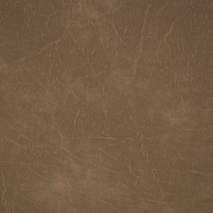 70374 Antelope by Greenhouse Designer Fabric Face: 100% Pvc, Back: 100% Polyester Canada 250,000 </p><p>Repeat: None 54" - Swanky Fabrics -
