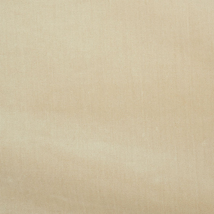 Venetian Silk Velvet Pearl 70420 by Schumacher Designer Fabric Perfect-Basics-Venetian-Silk-Velvet 51% Silk, 49% Cotton Martindale 20,000 Horizontal: - and Vertical: - 55 - Swanky Fabrics -