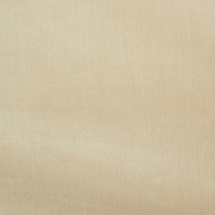 Venetian Silk Velvet Pearl 70420 by Schumacher Fabric Schumacher Fabric Venetian Silk Velvet Pearl 70420Fabric SILK 51% ITALY </p><p>Repeat: H: , V: 55 - Fabric Carolina -