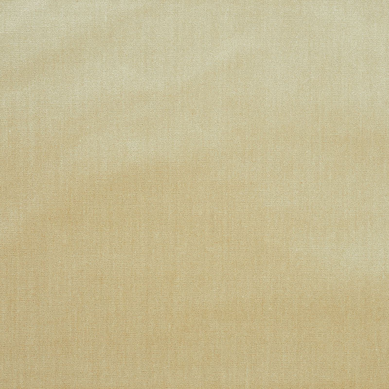 Venetian Silk Velvet Oyster 70422 by Schumacher Designer Fabric Perfect-Basics-Venetian-Silk-Velvet 51% Silk, 49% Cotton Martindale 20,000 Horizontal: - and Vertical: - 559140CM0 - Swanky Fabrics -