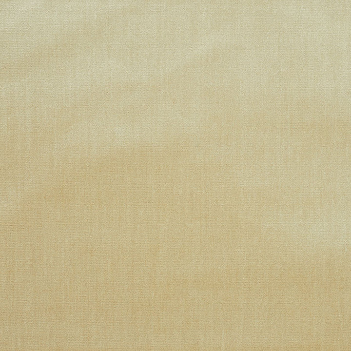 Venetian Silk Velvet Oyster 70422 by Schumacher Designer Fabric Perfect-Basics-Venetian-Silk-Velvet 51% Silk, 49% Cotton Martindale 20,000 Horizontal: - and Vertical: - 559140CM0 - Swanky Fabrics -