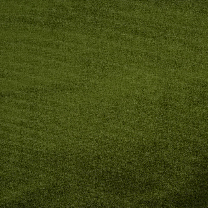 Venetian Silk Velvet Moss 70438 by Schumacher Designer Fabric Perfect-Basics-Venetian-Silk-Velvet 51% Silk, 49% Cotton Martindale 20,000 Horizontal: - and Vertical: - 55 - Swanky Fabrics -