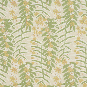 Ashbee Botanical Citron 5016251 by Schumacher Designer Wallpaper