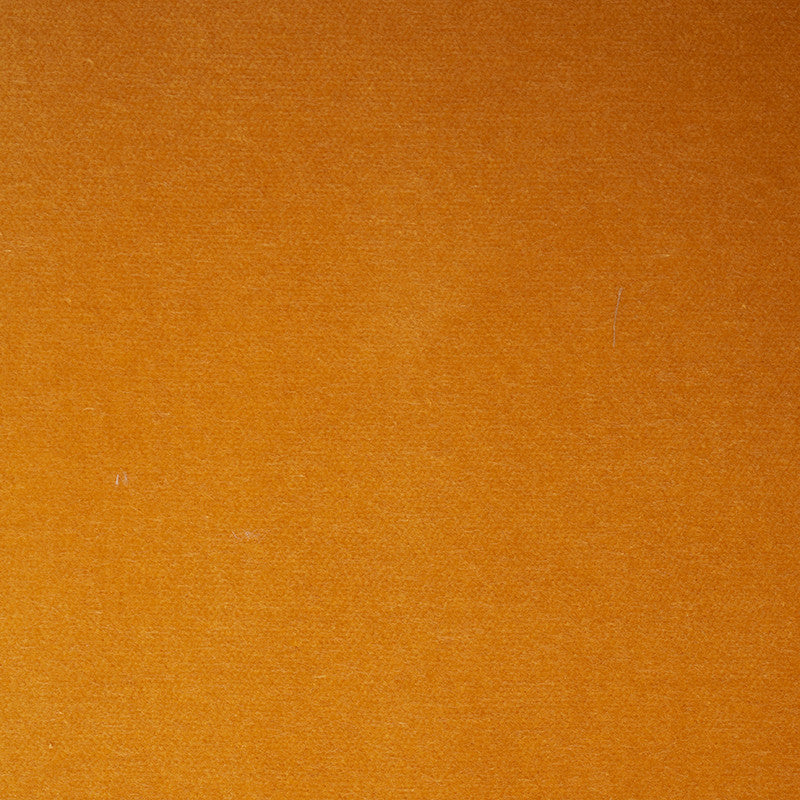 Rocky Performance Velvet Marigold 70579 by Schumacher Designer Fabric PERFECT BASICS: ROCKY PERFORMANCE VELVET COTTON 74% POLYESTER 26% UNITED STATES OF AMERICA WYZENBEEK 150,000 </p><p>Repeat: Horizontal: and Vertical: 54 - Swanky Fabrics -