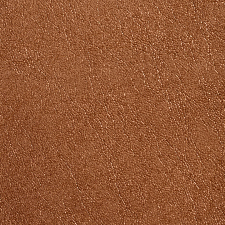 7079 Caramel by Charlotte Designer Fabric Breathable Volume II 100% Breathable Polyurethane, 26oz. Asia Exceeds 250,000 Wyzenbeek Rubs (Heavy Duty) No Repeat 54 Inches - Swanky Fabrics -