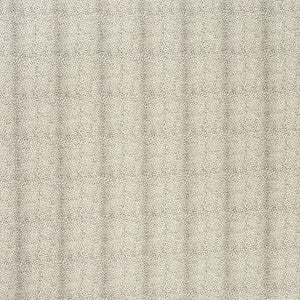 Mini Leopard Grey 70830 by Schumacher Designer Fabric