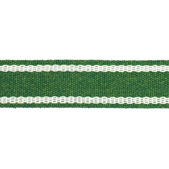 Sullivan Tape Narrow Indoor/Outdoor Green 83672 by Schumacher Designer Trim Perennial Favorite Trims - Swanky Fabrics -
