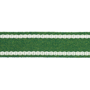 Sullivan Tape Narrow Indoor/Outdoor Green 83672 by Schumacher Designer Trim
