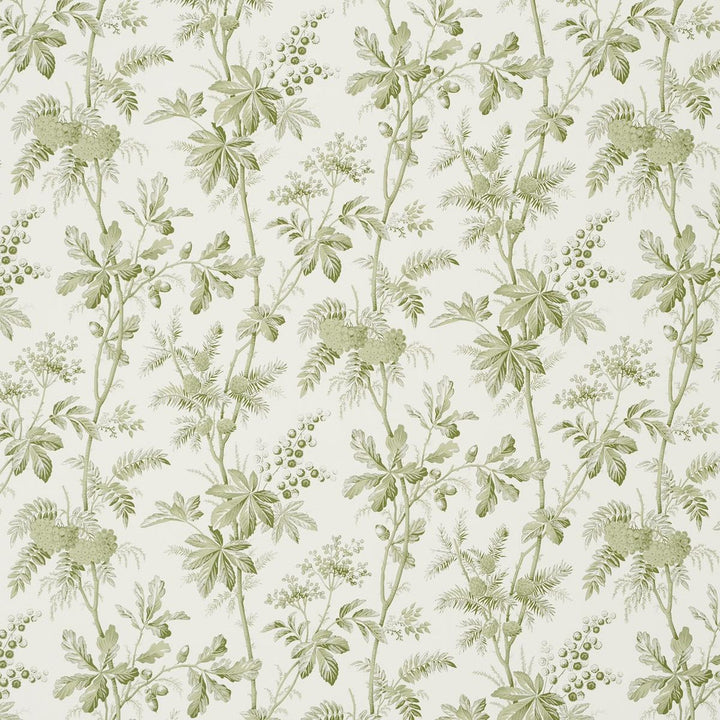 Brantwood Vine Leaf 5016350 by Schumacher Designer Wallpaper A Country Life 18.0" - Swanky Fabrics -